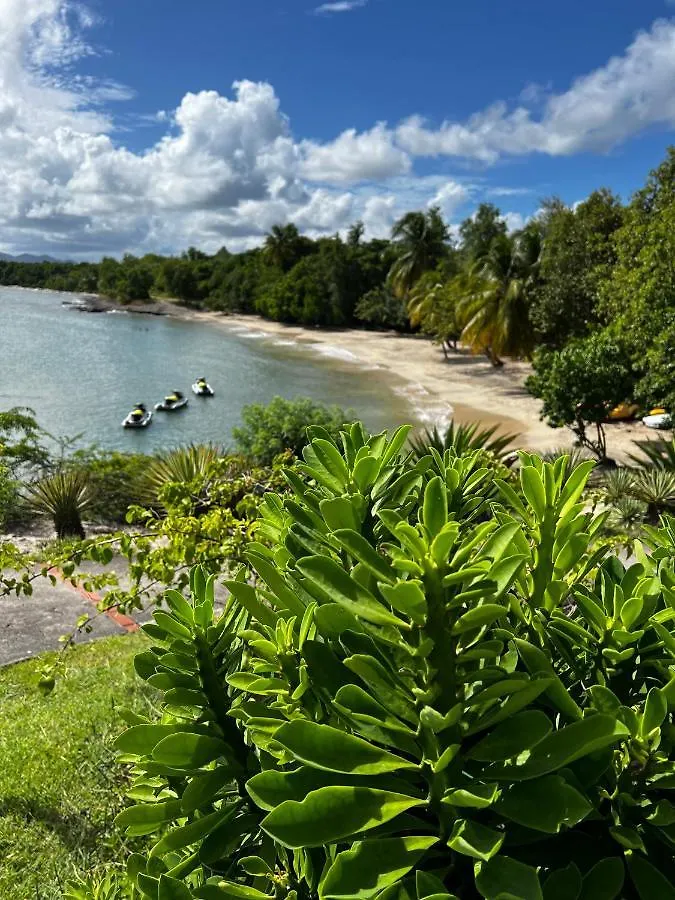Beau Studio Renove Au Sein D'Un Magnifique Complexe Hotelier Sainte-Luce Martinique